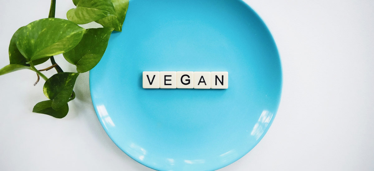 About Vegan Store